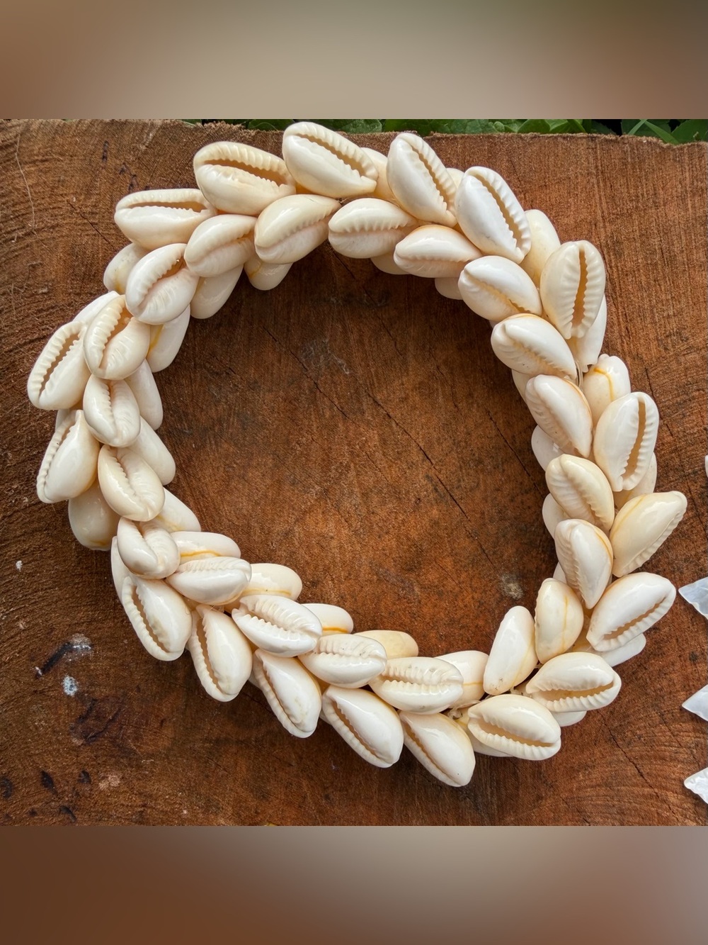 Shell Jewelry Bundle - Picture 5 of 8